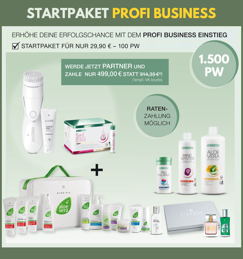 profi-business